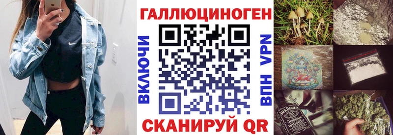Галлюциногенные грибы Psilocybine cubensis  Новокубанск 